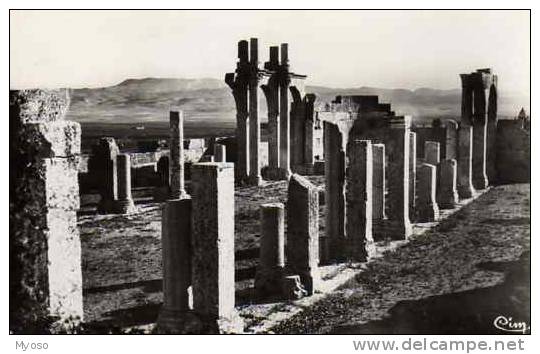 TEBESSA Ruines De La Basilique La Nef - Tébessa