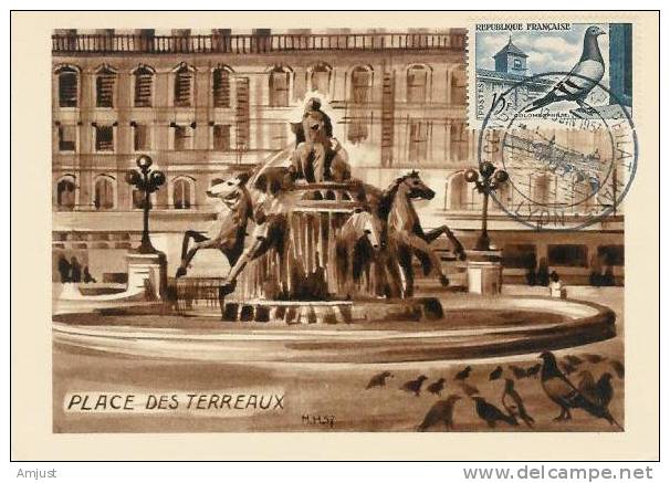 Carte Maximum,Maxi Cards, Pigeons, Place Des Terreaux - 1950-1959