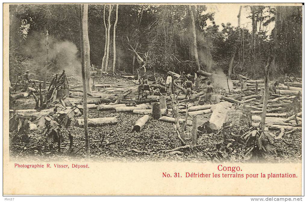 CONGO FRANCAIS - Défrichage Des Terrains - Bucherons - Non Circulé - Congo Francese