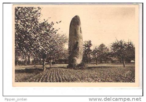 35 DOL (environs)  *  Pierre Du Camp Dolent, Magnifique Menhir Fusiforme De 8,70m De Tour Et 9.3 Haut * Belle CPA - Dolmen & Menhire