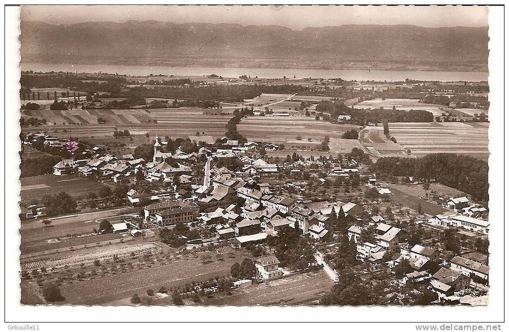 DOUVAINE   -   ** VUE AERIENNE  AVEC LE LAC LEMAN **  -   Editeur : J. CELLARD De Lyon   N° 7651 - Douvaine