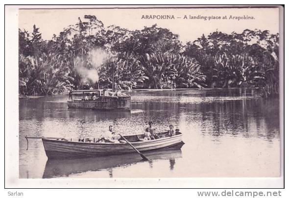 OCEANIE , ARAPOKINA , - Papouasie-Nouvelle-Guinée