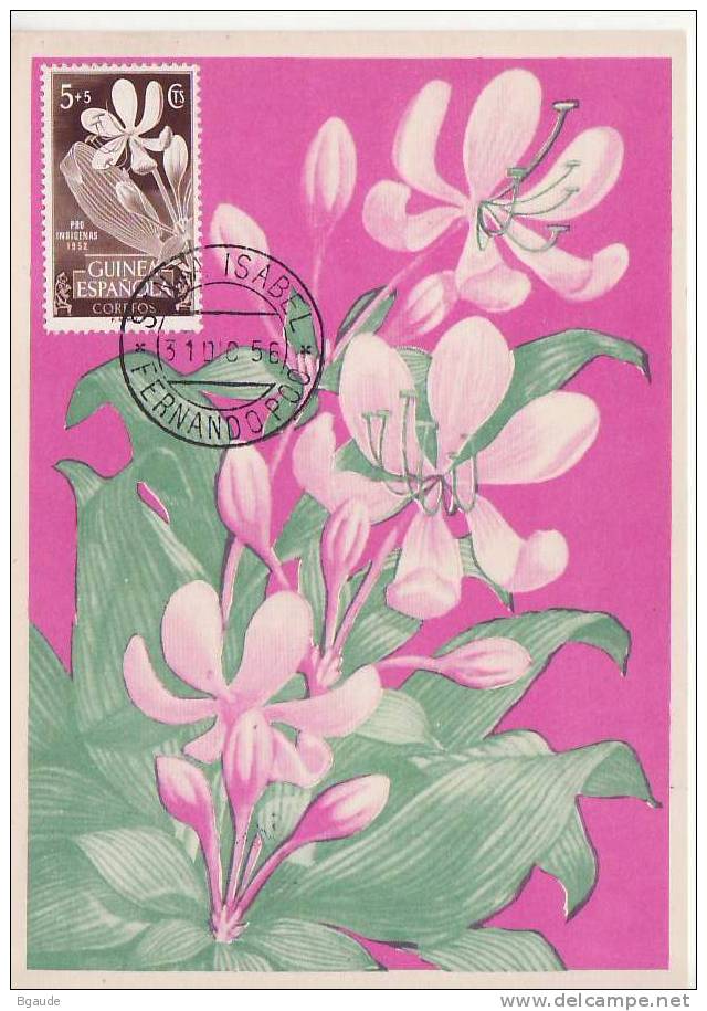 GUINEE  ESPAGNOLE    CARTE MAXIMUM NUM.YVERT 374 BOTANIQUE FLEUR ORCHIDEE - Guinea Espagnole