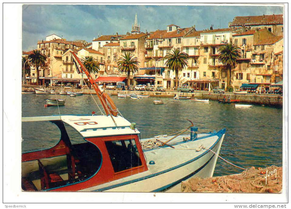 14478 Corse Oasis Beauté . Calvi Maisons Bordant Quai Plaisance Lourd Soleil . EKB 836 Yvon - Calvi