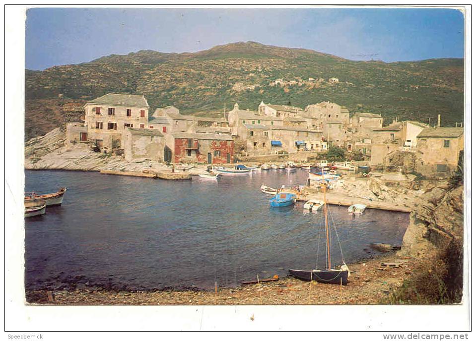 14472 Corse Ile D'amour Centuri Vue Générale Sur Le Port . 1475 Roc-e-mare - Autres & Non Classés