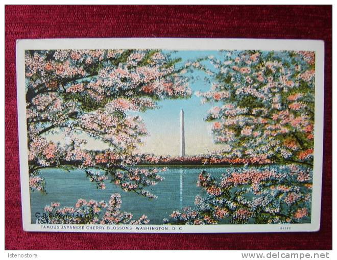 US TO HUNGARY / WASHINGTON DC / FAMOUS JAPANESE CHERRY BLOSSOMS / 1937 - Washington DC