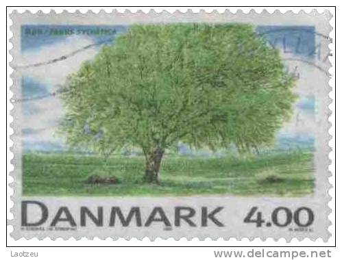 Danemark 1202 (1999). - Arbres ~ Hêtre - Used Stamps