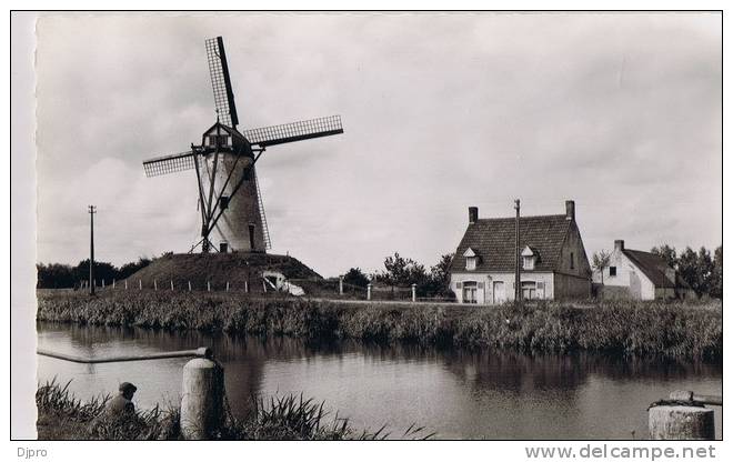 Damme De Molen - Damme