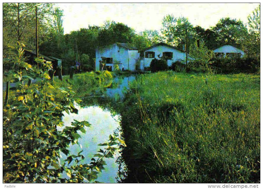 Carte Postale 64. Bidart   Le Moulin De Bassilour Trés Beau Plan - Bidart