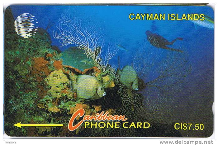 Cayman Islands, CAY-5A, Diver In Reef , Fish. - Islas Caimán