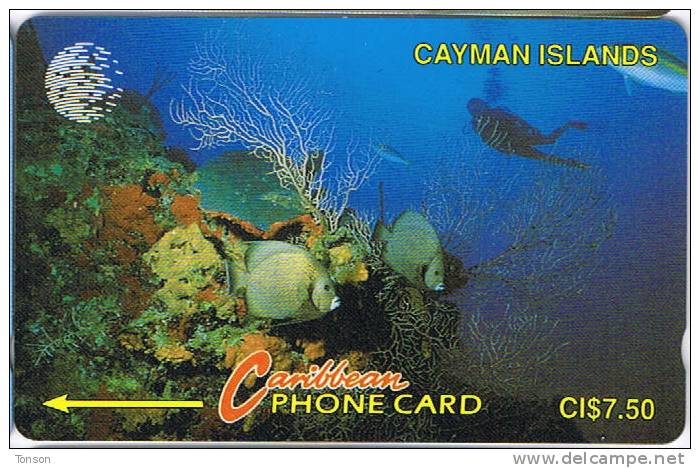 Cayman Islands, CAY-5A, Diver In Reef , Fish. - Cayman Islands