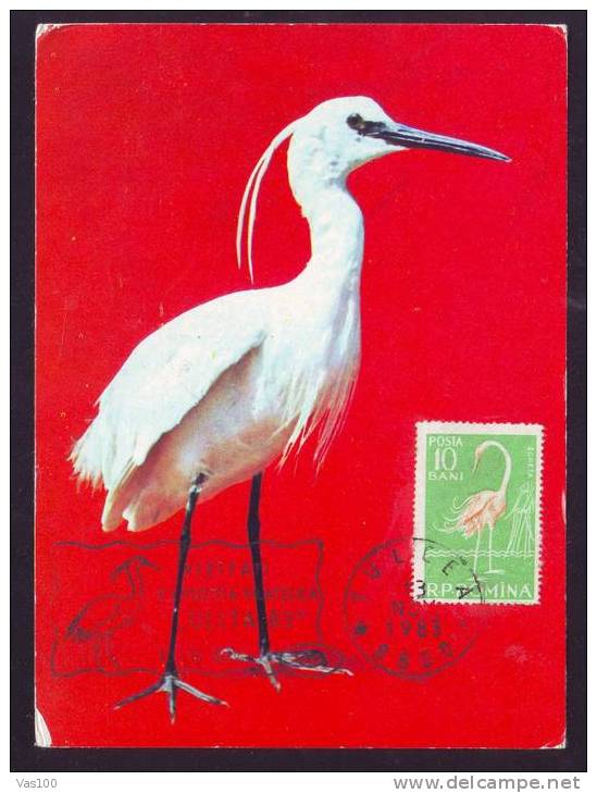 BIRDS EGRETTA GAZETTA,1983 MAXIMUM CARD ROMANIA,EXCELLENT! - Cigognes & échassiers