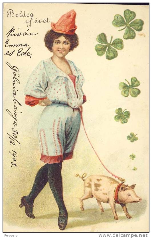 AK 01 PIG. PIGS, SCHWEIN DAMEN LADY ART DECO  Neujahr, New Year, Old Postcard 1903 - Varkens