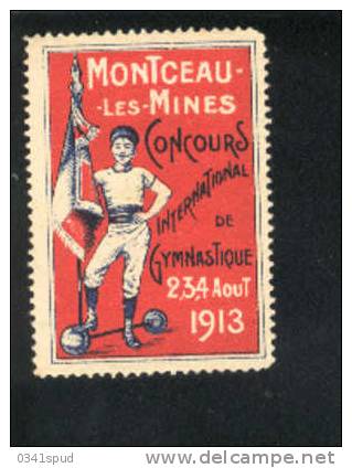 1913 France Vignette Label Avec Charniére  Gymnastique  Gymnastics Ginnastica Montceau Les Mines - Gymnastics