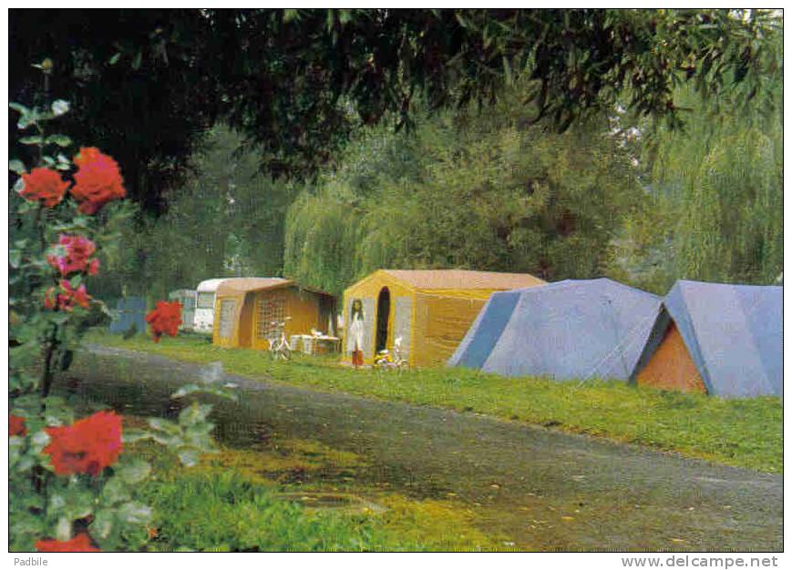 Carte Postale  59. Arleux  Camping Municipal De Brunemont Trés Beau Plan - Arleux