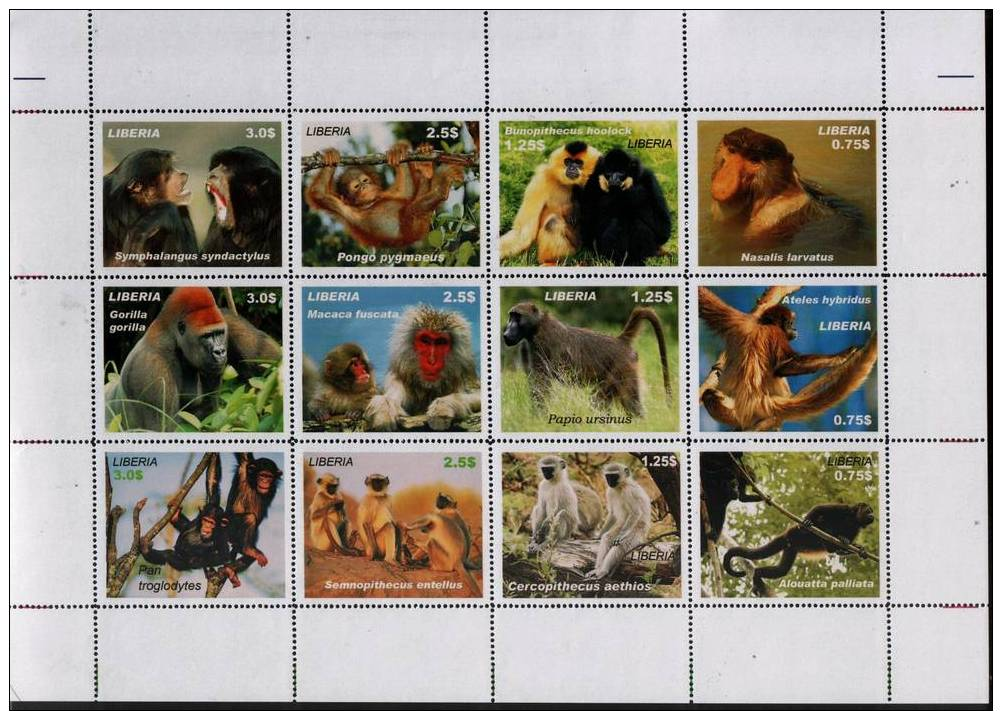 LIBERIA SHEETLET CINDERELLA MONKEYS MACACA GORILLA SHIMPANZE - Scimmie