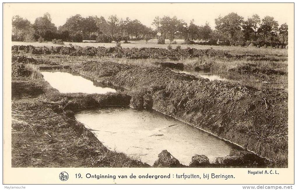 Beringen - Beringen