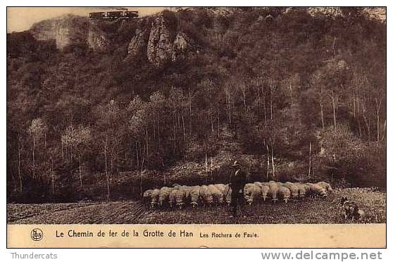 LE CHEMIN DE FER DE LA GROTTE DE HAN LES ROCHERS DE FAULE TRAM VAPEUR TRAIN - Rochefort