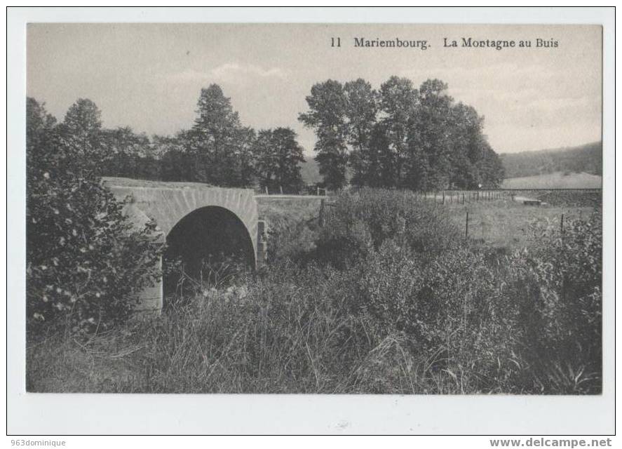 Mariembourg - La Montagne Au Buis 11 - Couvin