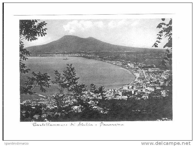 CASTELLAMARE DI STABIA (NA) - Panorama Con Il VESUVIO - Nuova, Non Viaggiata - In Ottime Condizioni. - Castellammare Di Stabia