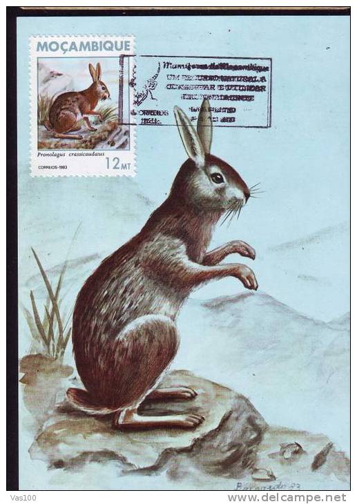 MOZAMBIQUE 1983 MAXICARD,MAXIMUM CARD,Hunting, Animals,LAPINS,RABIT. - Rabbits