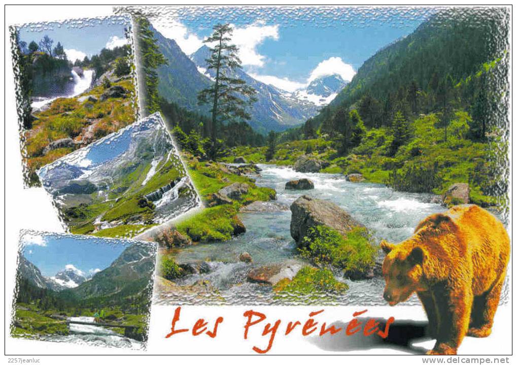 Cpm L´ours Et 4 Vues Paysage Des Pyrénées - Osos