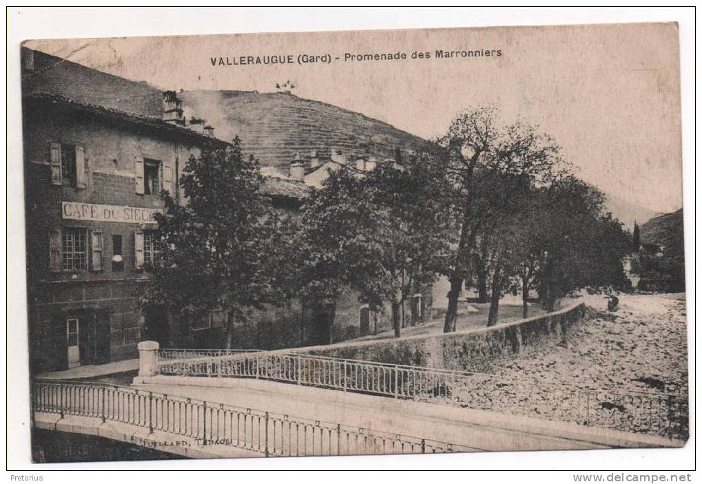 *** DEPT 30 / VALLERAUGUE - PROMENADE DES MARONNIERS *** - Valleraugue