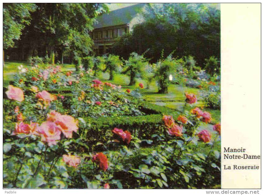 Carte Postale 95. Montsoult  Manoir Notre-Dame  La Roseraie Trés Beau Plan - Montsoult