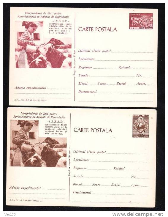Romania 1961  Postal Stationery Postcards,2x Diff.color With Cow Dairy Farm. - Mucche
