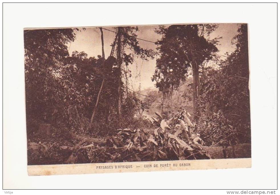 GABON : Coin De Forêt.- PAYSAGE D'AFRIQUE.- (2) - Gabon