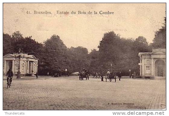 BRUSSEL BRUXELLES ENTREE DU BOIS DE LA CAMBRE ATTELAGE ANIMATION  P  MATTHEYS - Forêts, Parcs, Jardins