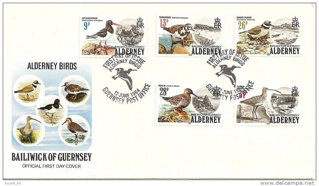 Enveloppe Fdc Alderney, Aurigny, Faune, Oiseaux - Alderney