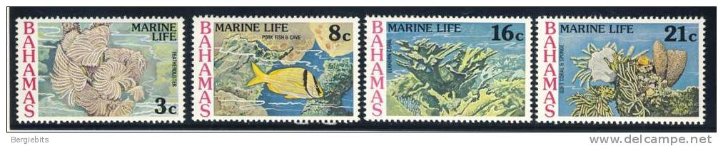 1977 Bahamas MNH Complete Set Of 4  Stamps Marine Life Of The Bahamas - Bahama's (1973-...)