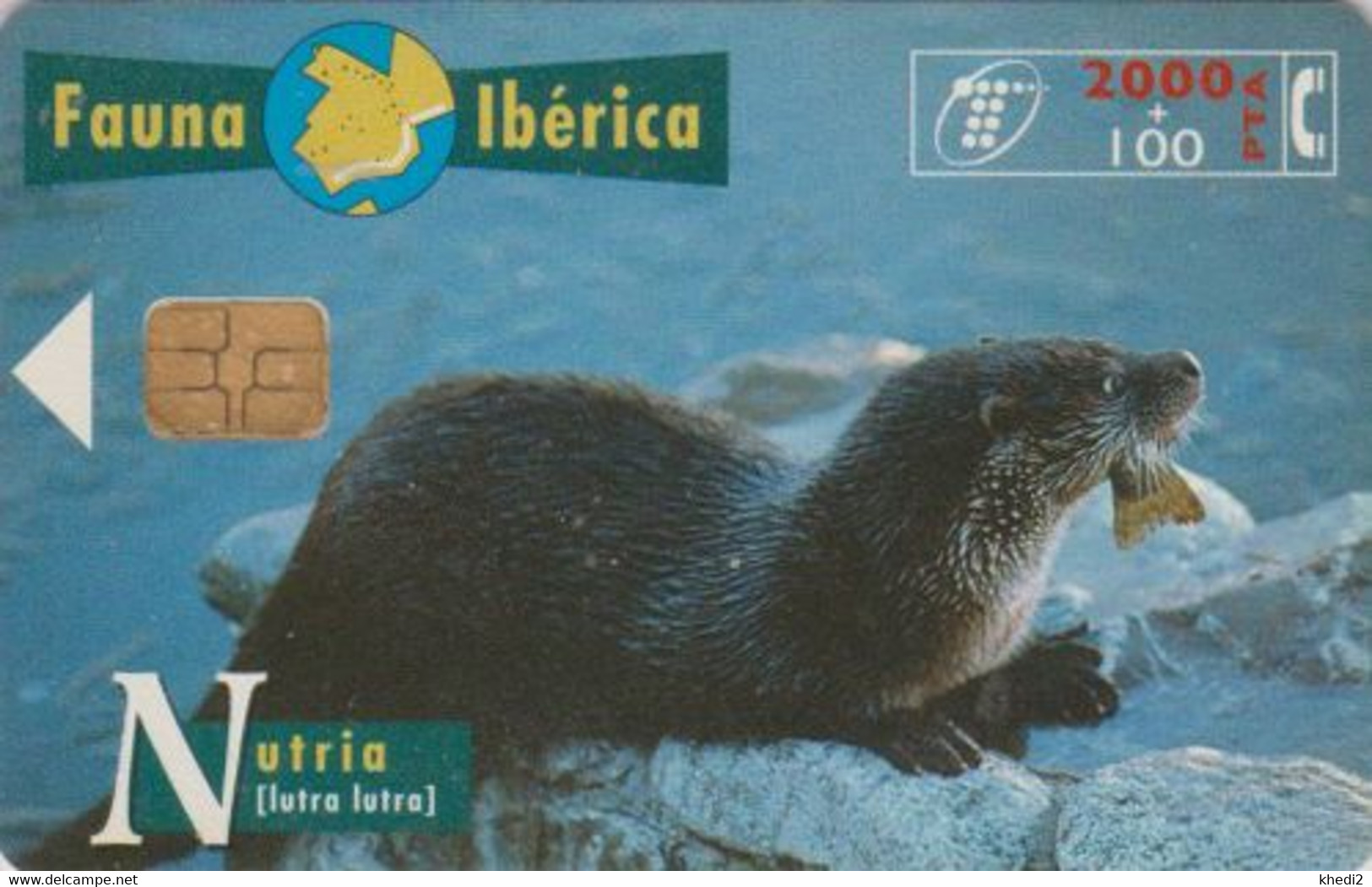 TC Puce Espagne - Série Fauna Ibérica - ANIMAL - LOUTRE De Mer & POISSON -- SEA OTTER & FISH Spain Chip Phonecard - Emissions Basiques