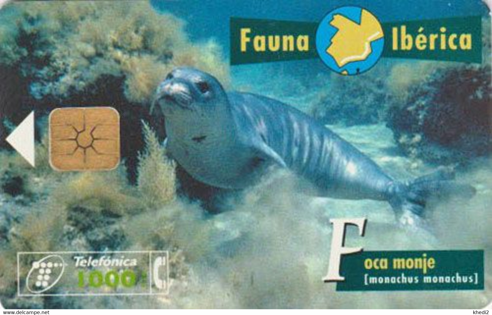 TC Puce Espagne Série Fauna Ibérica - ANIMAL - PHOQUE MOINE - SEAL Chip Spain Phonecard - SEEHUND - Emissioni Di Base