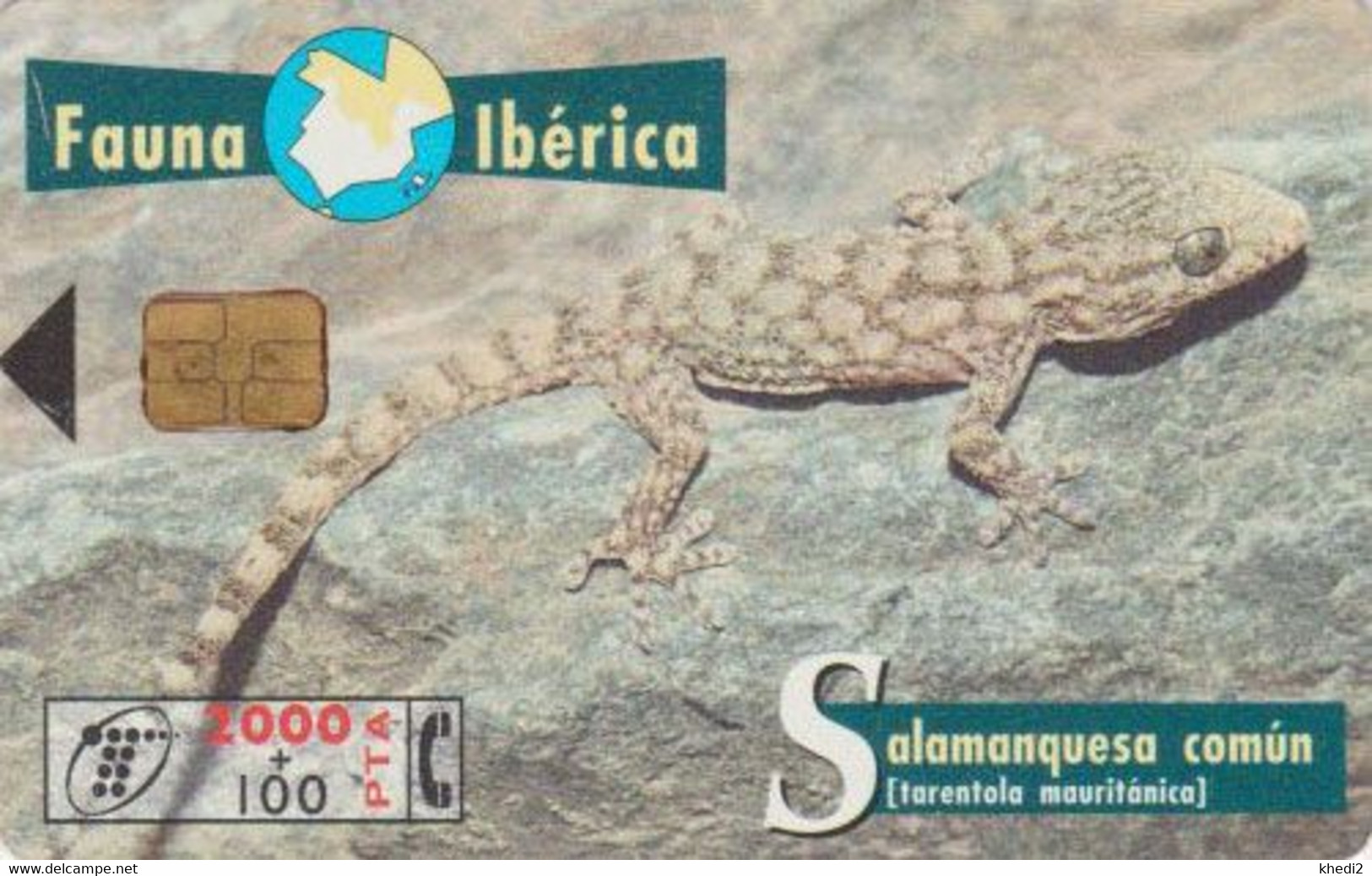 TC Puce Espagne Série  Fauna Ibérica - ANIMAL - LEZARD Gecko - Spain Chip Phonecard - Basisausgaben