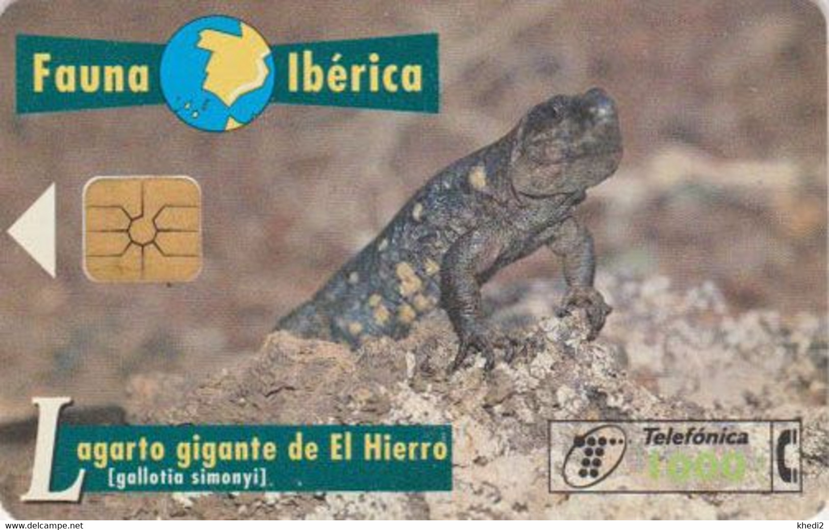 TC Puce Espagne Série Fauna Ibérica - ANIMAL - LEZARD Gallotia - Spain Chip Phonecard - Basic Issues