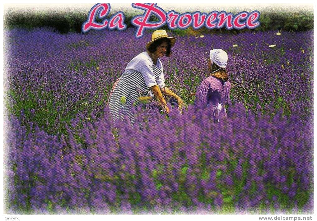 PROVENCE - Kostums