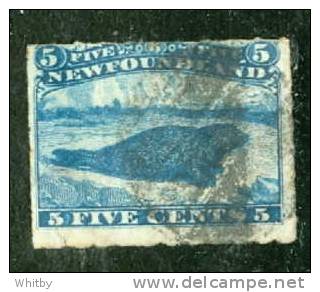 1876 5 Cent Harp Seal Rouletted Issue #40 - 1865-1902