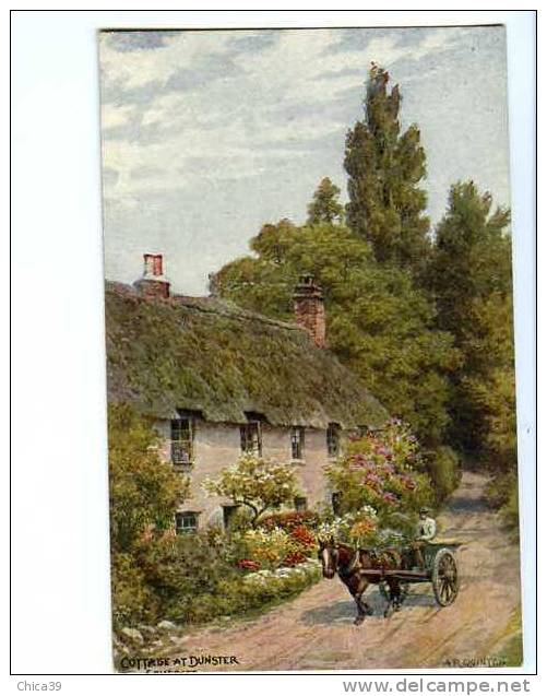 005203  -  Cottage At Dunster   Somerset  Par Quinton - Sonstige & Ohne Zuordnung