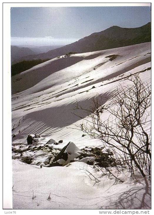 LEVER DE SOLEIL SUR LA NEIGE  - - Auvergne