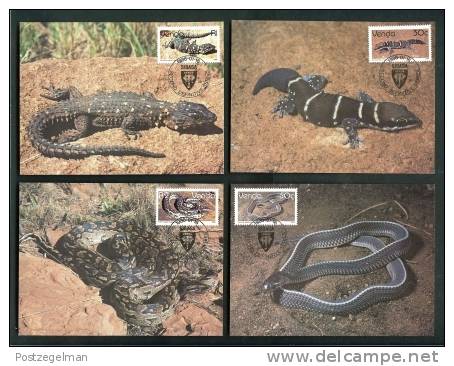 VENDA 1986 17 Postcards Reptiles 120-136 - South Africa