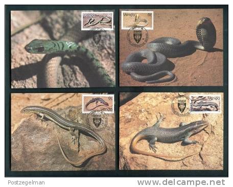 VENDA 1986 17 Postcards Reptiles 120-136 - South Africa