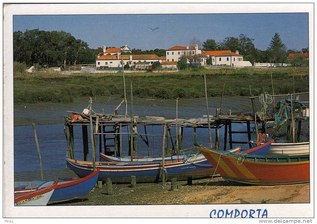 ----COMPORTA--ESTUARIO DO RIO SADO - Sonstige & Ohne Zuordnung