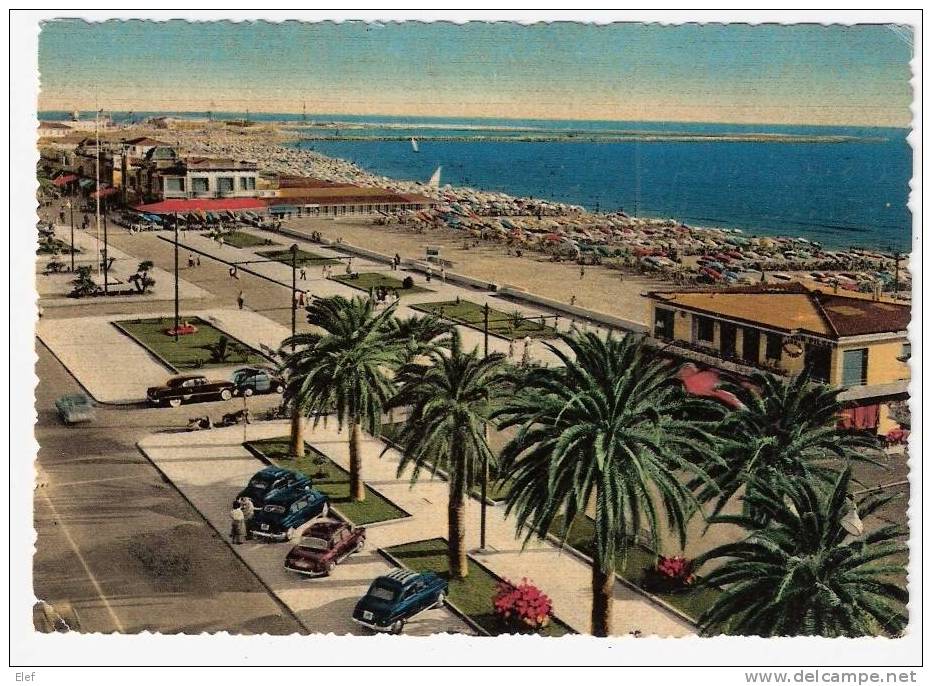 VIAREGGIO (Toscana) : Piazza Mazzini ; 1956 ; B/TB - Viareggio