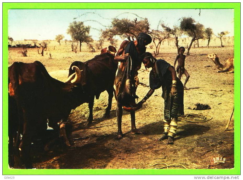 NIGER - SCÈNE DE VIE BORONOS À TILLIA - LIBRAIRIE MAUCLERT - Circulée En 1978 - - Níger