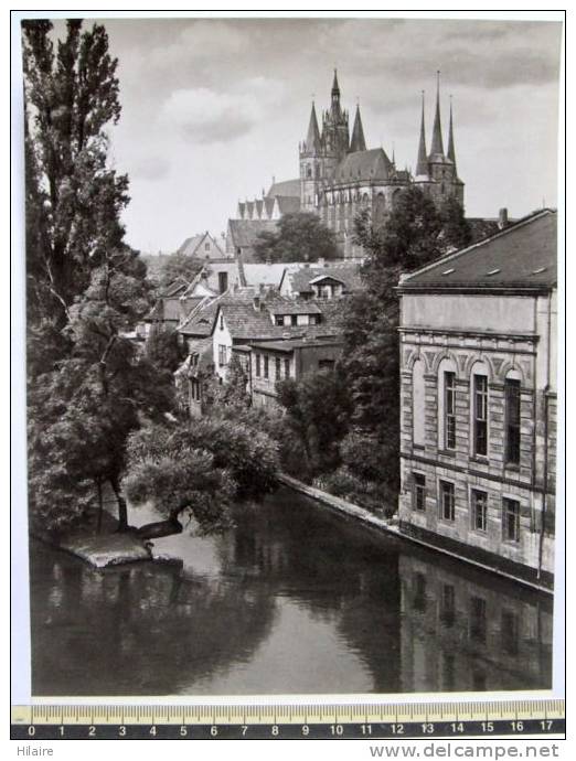 Allemagne Photo 23X16 Deutchland  ERFURT DOM UND SEVERI - Erfurt