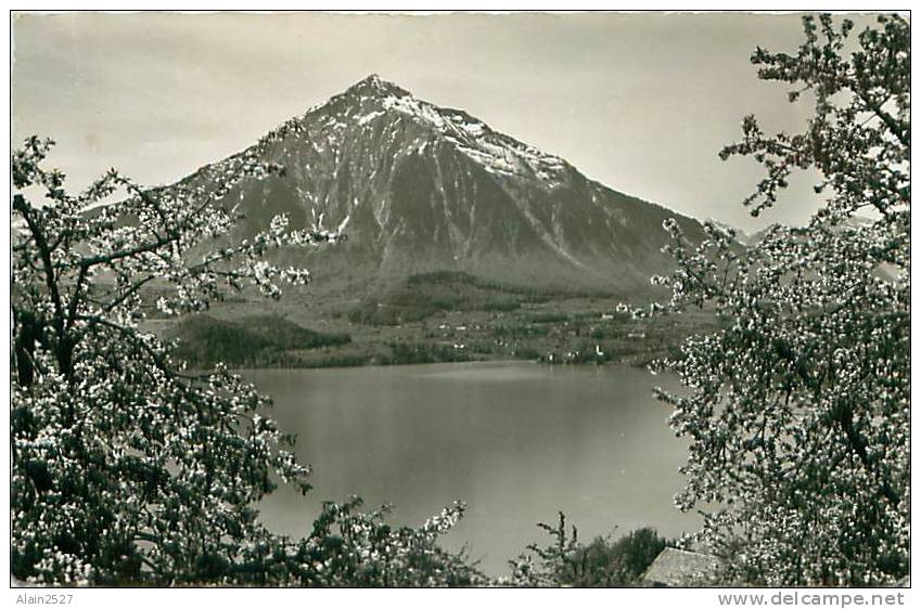 SIGRISWIL - Blick Auf Niesen - Sigriswil