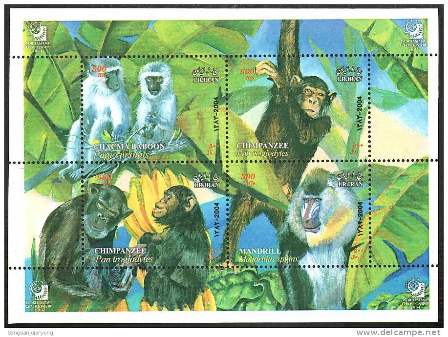 Wildlife ( Faune, Tierwelt ), Iran Sc2896 Chacma Baboon, Chimpanzee, Mandrill - Schimpansen