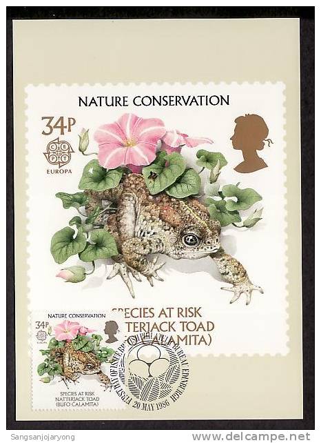 Wildlife ( Faune, Tierwelt ), GB Sc1144 Natterjack Toad, Meximum Card - Frogs